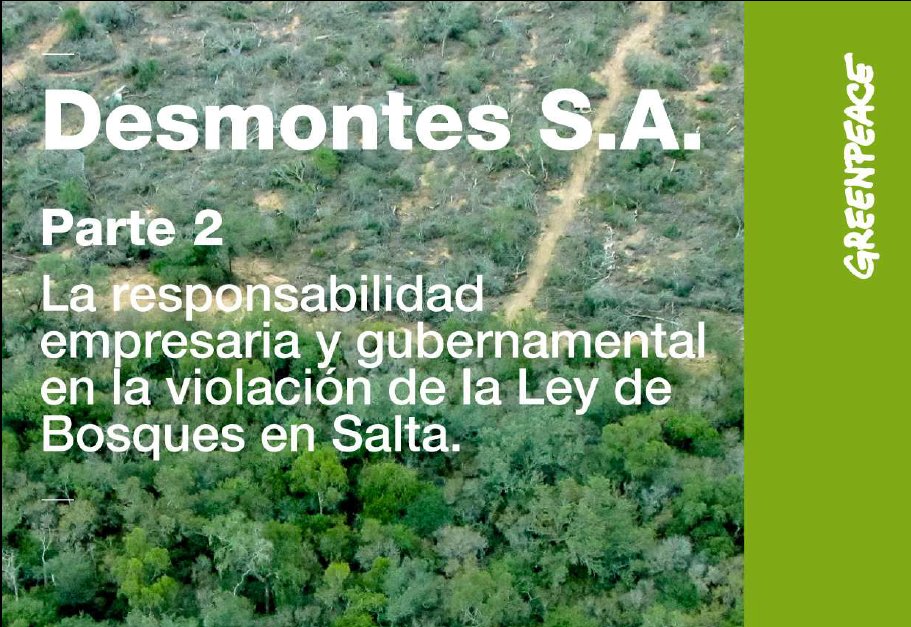 greenpeace_informe2_desmontes salta