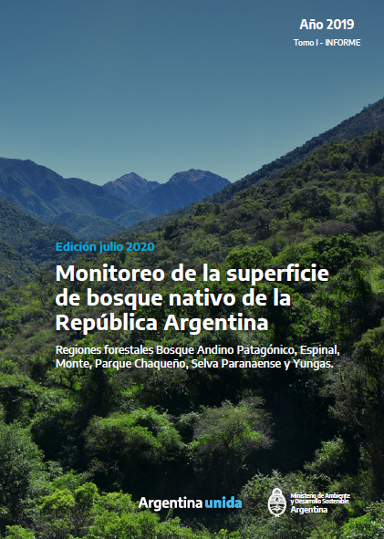 Monitoreo de la superficie de bosque nativo de la República Argentina. Tomo I. Año 2019. Inf